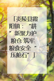 炎陵县霞阳镇：“耕”新聚力护粮仓 筑牢粮食安全“压舱石”