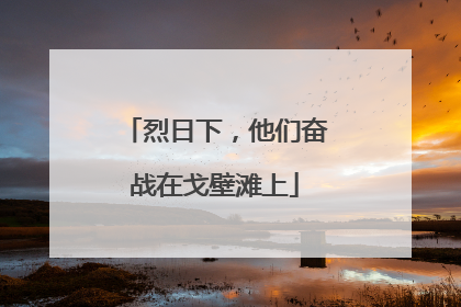 烈日下，他们奋战在戈壁滩上