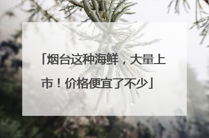 烟台这种海鲜，大量上市！价格便宜了不少