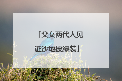 父女两代人见证沙地披绿装