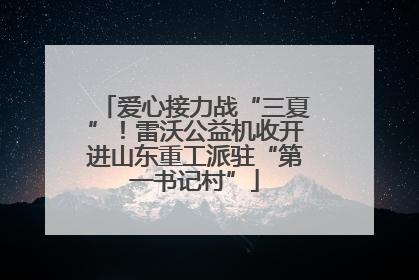 爱心接力战“三夏”！雷沃公益机收开进山东重工派驻“第一书记村”