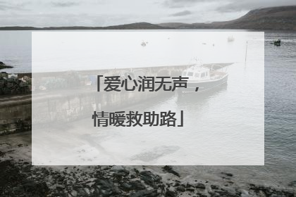 爱心润无声，情暖救助路