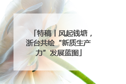 特稿丨风起钱塘，浙台共绘“新质生产力”发展蓝图