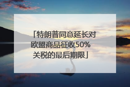 特朗普同意延长对欧盟商品征收50%关税的最后期限