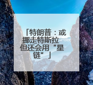特朗普：或挪走特斯拉 但还会用“星链”