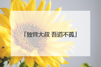 独臂大叔 吾道不孤