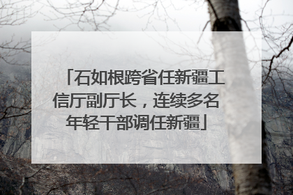 石如根跨省任新疆工信厅副厅长，连续多名年轻干部调任新疆