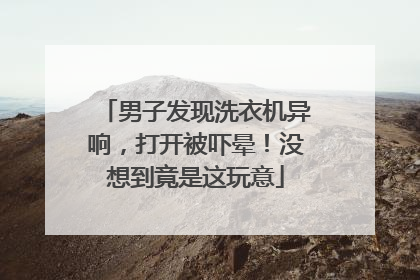 男子发现洗衣机异响，打开被吓晕！没想到竟是这玩意