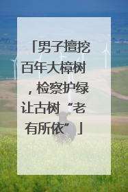 男子擅挖百年大樟树，检察护绿让古树“老有所依”