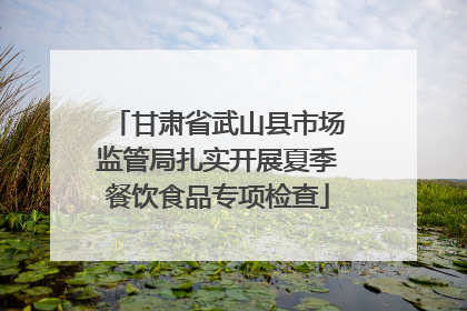 甘肃省武山县市场监管局扎实开展夏季餐饮食品专项检查