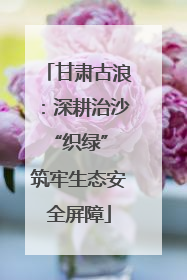 甘肃古浪：深耕治沙“织绿” 筑牢生态安全屏障