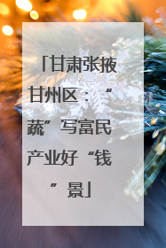 甘肃张掖甘州区：“蔬”写富民产业好“钱”景