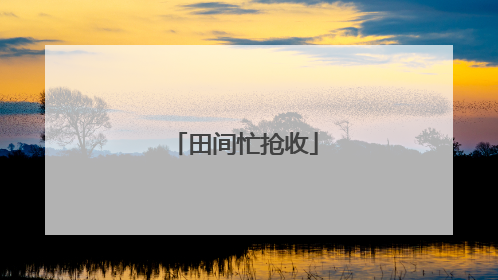 田间忙抢收