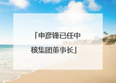 申彦锋已任中核集团董事长