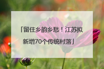 留住乡韵乡愁！江苏拟新增70个传统村落