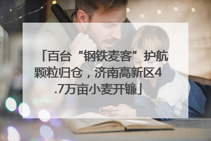 百台“钢铁麦客”护航颗粒归仓，济南高新区4.7万亩小麦开镰