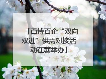 百博百企“双向双进”供需对接活动在蓉举办