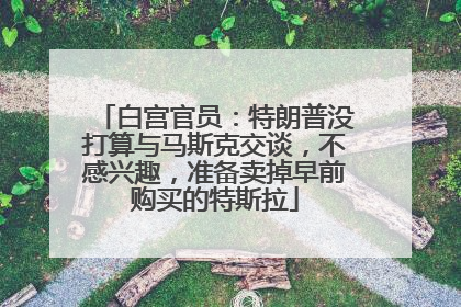 白宫官员：特朗普没打算与马斯克交谈，不感兴趣，准备卖掉早前购买的特斯拉