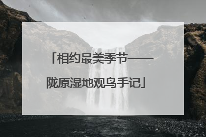 相约最美季节——陇原湿地观鸟手记