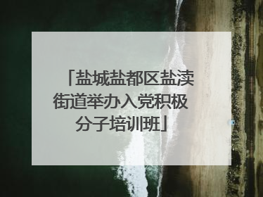 盐城盐都区盐渎街道举办入党积极分子培训班