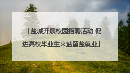 盐城开展校园招聘活动 促进高校毕业生来盐留盐就业