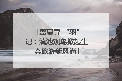 盛夏寻 “羽” 记：滇池观鸟掀起生态旅游新风尚