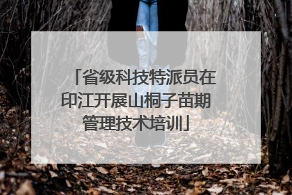 省级科技特派员在印江开展山桐子苗期管理技术培训