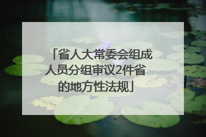 省人大常委会组成人员分组审议2件省的地方性法规