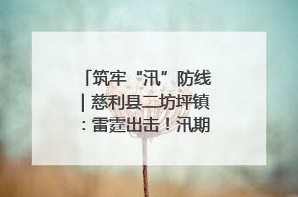 筑牢“汛”防线｜慈利县二坊坪镇：雷霆出击！汛期捕鱼被紧急叫停