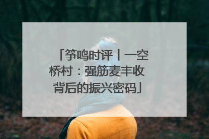 筝鸣时评丨一空桥村：强筋麦丰收背后的振兴密码