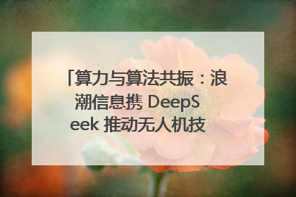 算力与算法共振：浪潮信息携 DeepSeek 推动无人机技术在舟山落地