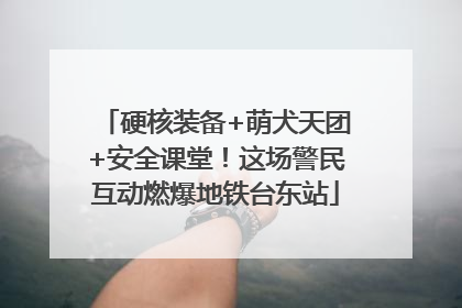 硬核装备+萌犬天团+安全课堂！这场警民互动燃爆地铁台东站