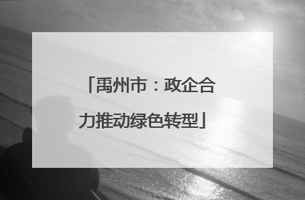 禹州市：政企合力推动绿色转型