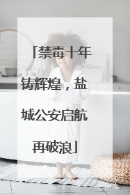 禁毒十年铸辉煌，盐城公安启航再破浪