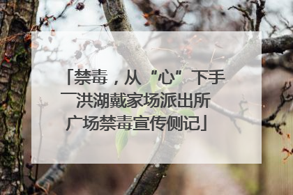 禁毒，从“心”下手――洪湖戴家场派出所广场禁毒宣传侧记