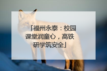 福州永泰：校园课堂润童心，高铁研学筑安全
