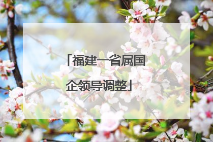 福建一省属国企领导调整