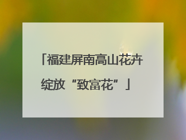 福建屏南高山花卉绽放“致富花”