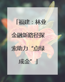 福建：林业金融新路径探索助力“点绿成金”