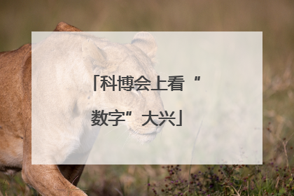 科博会上看“数字”大兴
