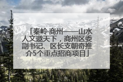 秦岭·商州——山水人文邀天下，商州区委副书记、区长支朝奇推介5个重点招商项目