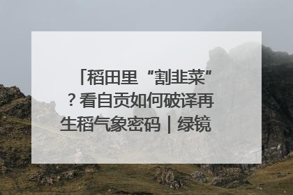 稻田里“割韭菜”？看自贡如何破译再生稻气象密码｜绿镜头·发现中国