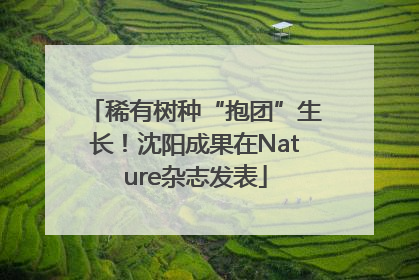 稀有树种“抱团”生长！沈阳成果在Nature杂志发表