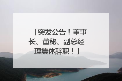 突发公告！董事长、董秘、副总经理集体辞职！