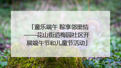 童乐端午 粽享邻里情——花山街道梅园社区开展端午节和儿童节活动