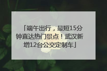 端午出行，最短15分钟直达热门景点！武汉新增12台公交定制车