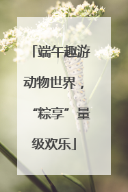 端午趣游动物世界，“粽享”量级欢乐