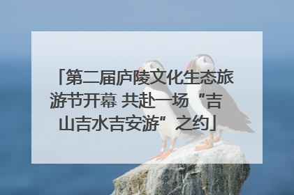 第二届庐陵文化生态旅游节开幕 共赴一场“吉山吉水吉安游”之约