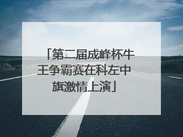 第二届成峰杯牛王争霸赛在科左中旗激情上演