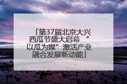 第37届北京大兴西瓜节盛大启幕 “以瓜为媒”激活产业融合发展新动能